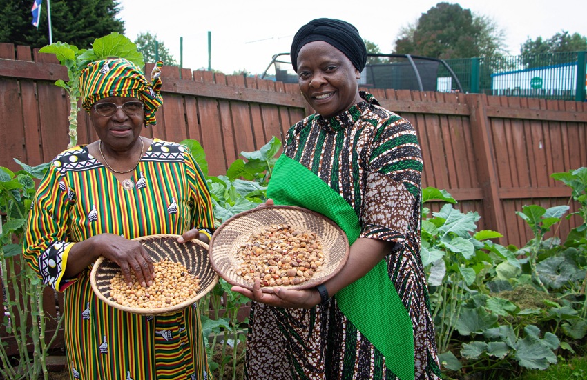 ZIWO ladies in their backyard with beans and homegrown cabbage