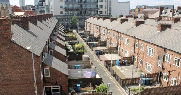 an aerial shot of the back yards of Anita Street in Ancoats